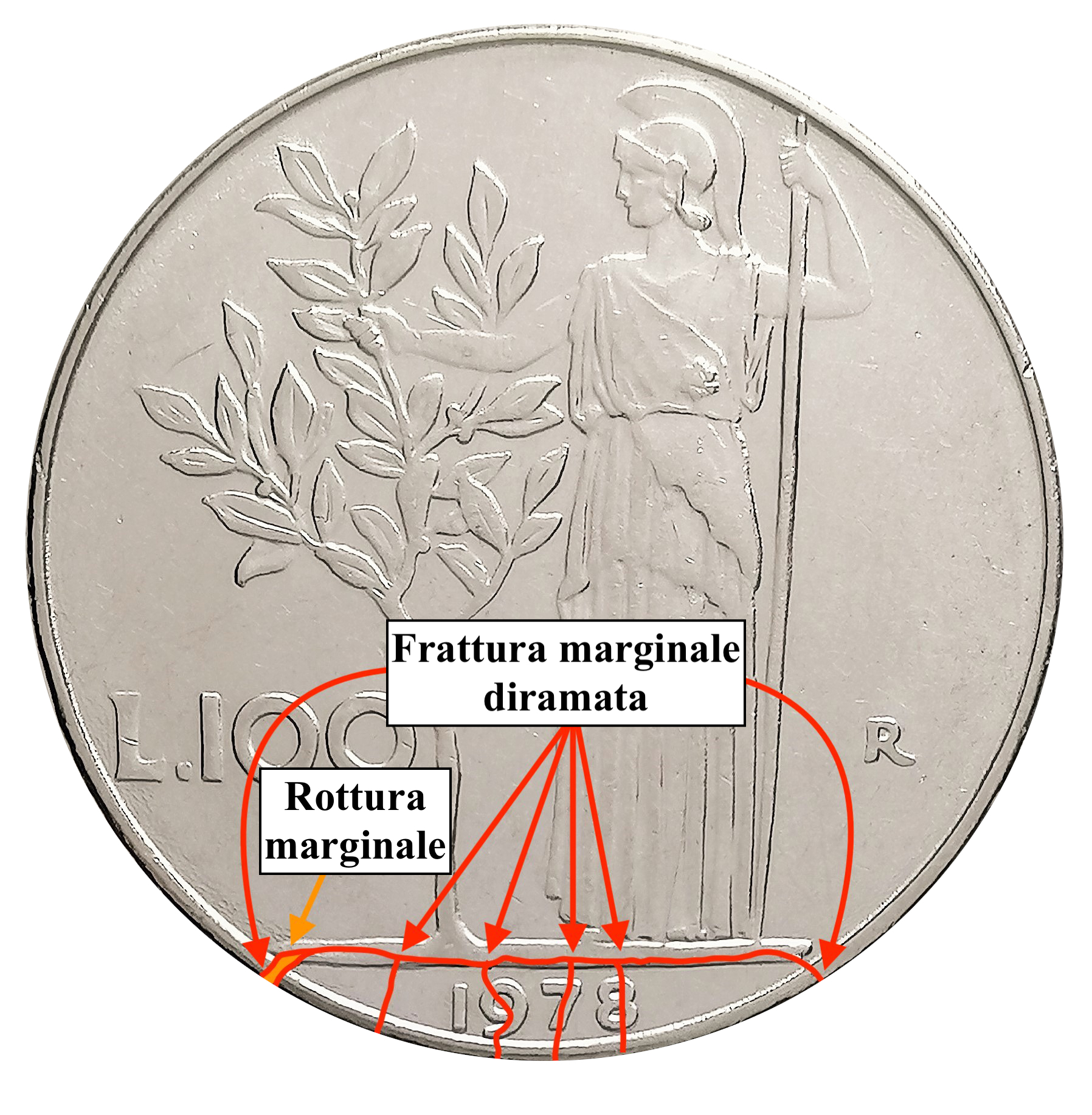 sena coins